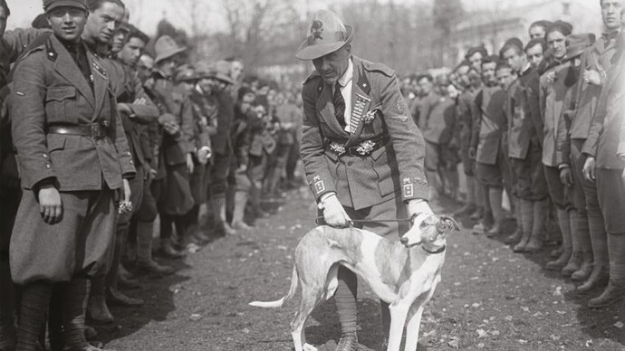 Foto di Gabriele d'Annunzio con un levriero