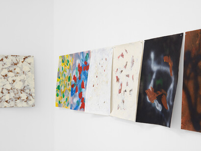 Clément Rodzielski, Tobacco Smuggling, Installation view, 20 November 2015 – 16 January 2016, Campoli Presti, London