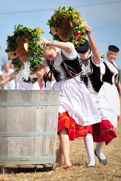 Markgroeninger Schaeferlauf © Michael Latz (detail)