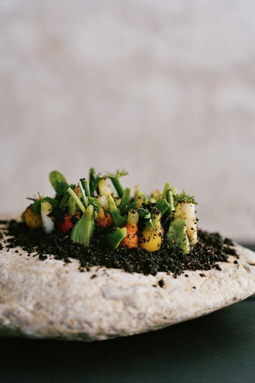 Cozinha de René Redzepi, Noma em Copenhagen
