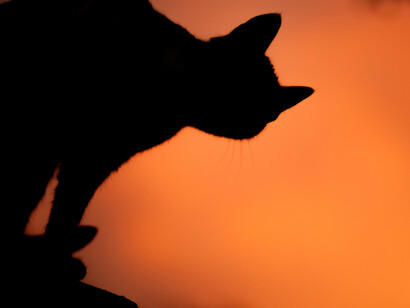 En la era de la información instantánea, ¿hay lugar para la reflexión?