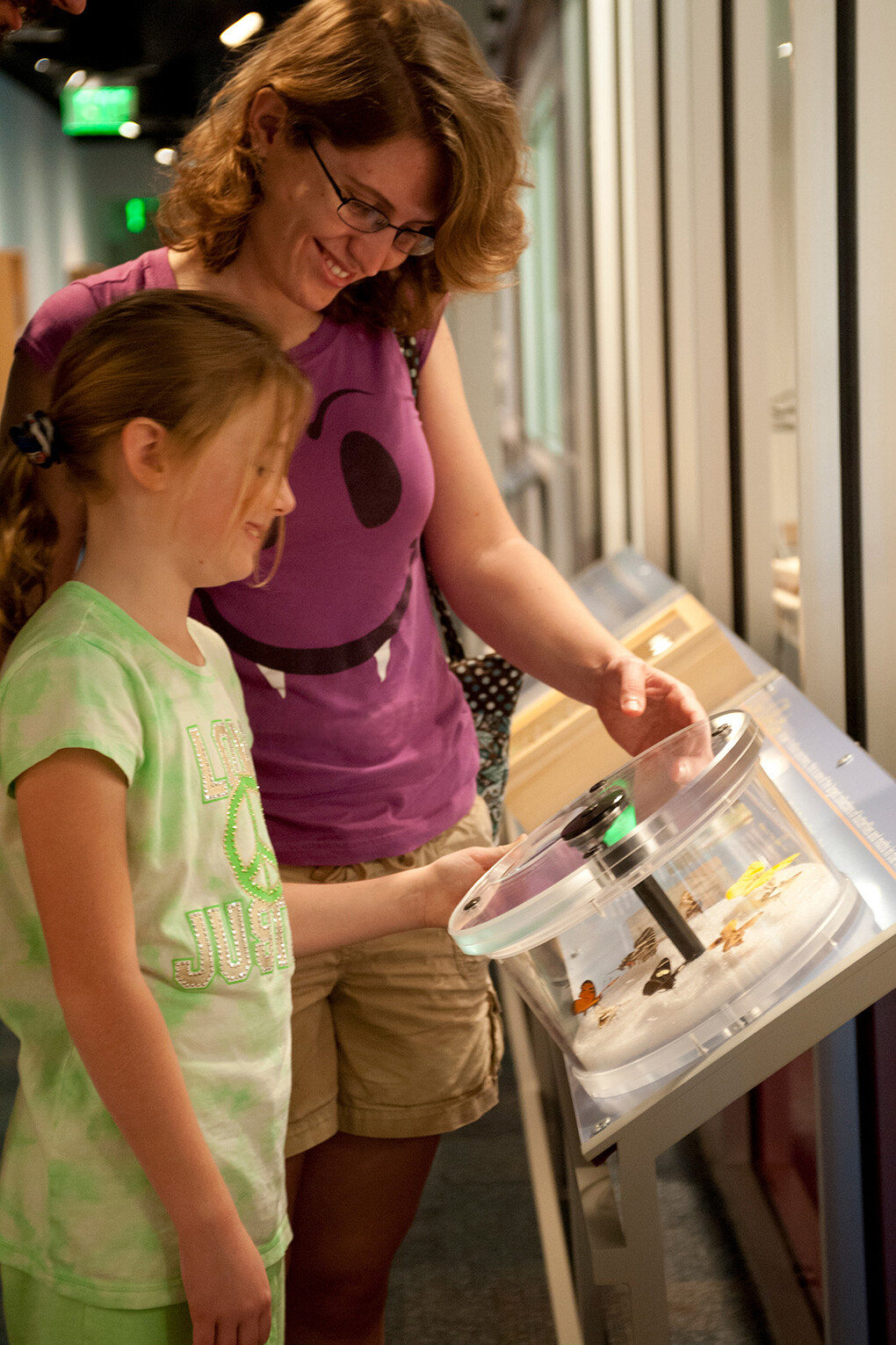 Indoor Butterfly Exhibits. Courtesy of Florida Museum of Natural History