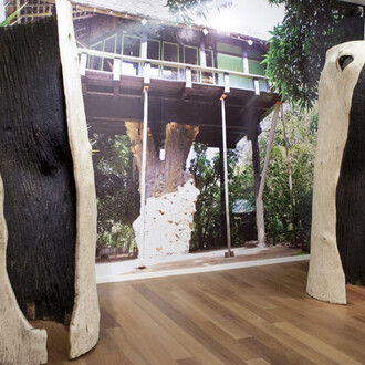 Frans Krajcberg, Exhibition view. Courtesy of Galeria Frente