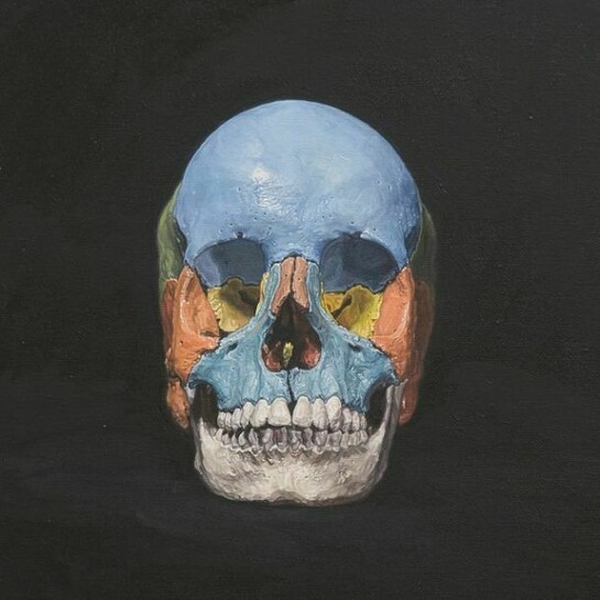 Ulrich Lamsfuss, Heike Ollertz/Ulrich Lamsfuss, Made In Germany III, Skull (3B Scientific) No. 2, 2013, oil on canvas. Courtesy the artist and Lombard Freid Gallery, New York