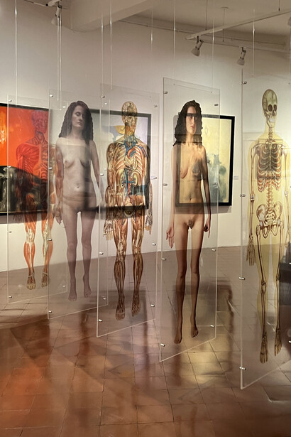 Karla Solano; Espejo interior. 1996, instalación Foto cortesía del MAC