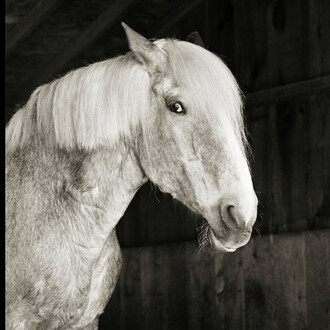 Isa Leshko. Courtesy of Richard Levy Gallery