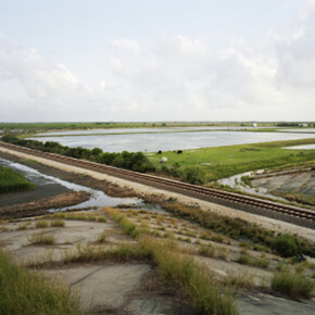 Nexus. Courtesy of Yancey Richardson Gallery 