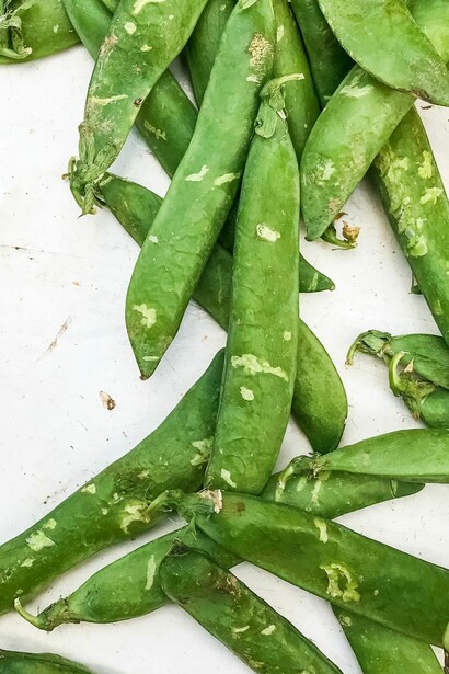 El «padre de la genética» cruzó una variedad que producía semillas amarillas con otra que producía semillas verdes