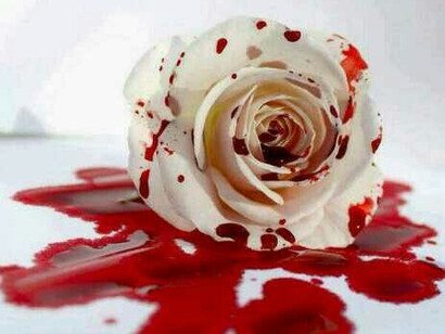 Rosa com sangue