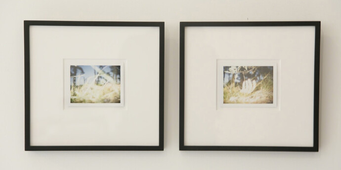 Polaroids: The Disappearing. Courtesy of Nathalie Karg Gallery
