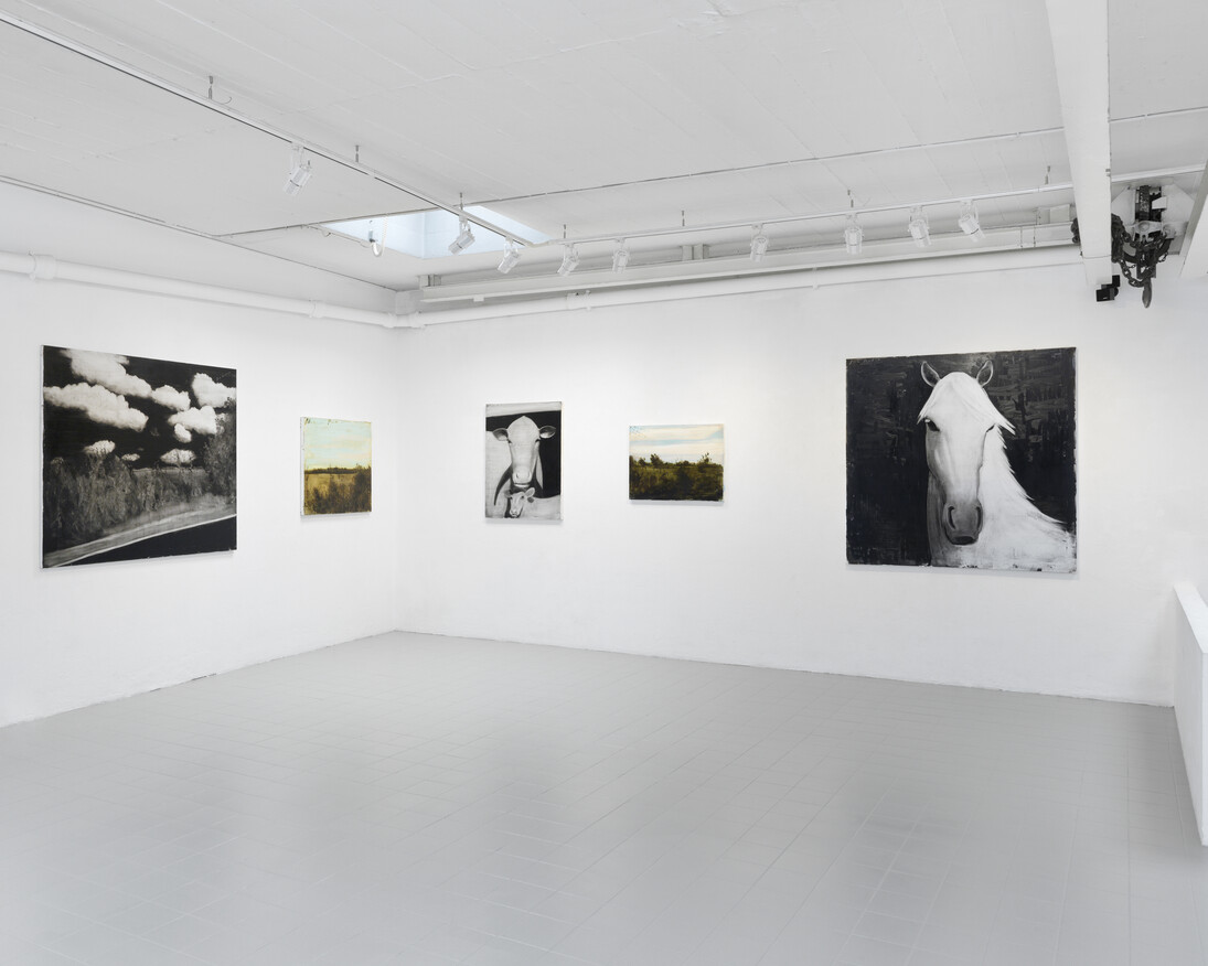 Rainbow Road. Courtesy of Galerie Sébastien Bertrand