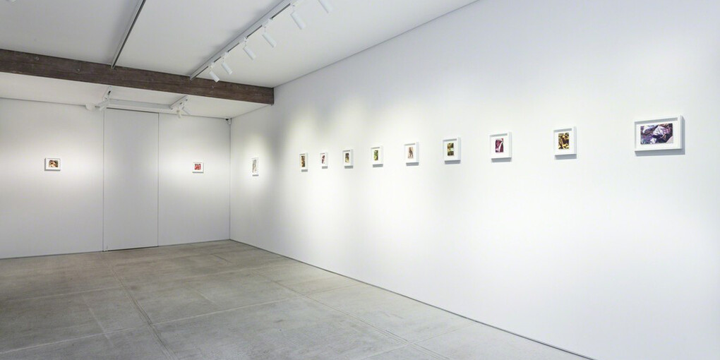 Pareidolia. Courtesy of Totah 