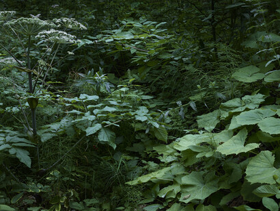 Gioberto Noro, Exhibition view. Courtesy of Alberto Peola