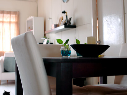 La funcionalidad, al poder