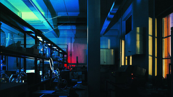 In the Realm of Colour. Courtesy of Arp Museum
