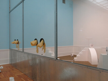 Nadim Abbas, Human Rhinovirus 14, 2016. Installation view, 7th Moscow International Biennale of Contemporary Art, 2017.