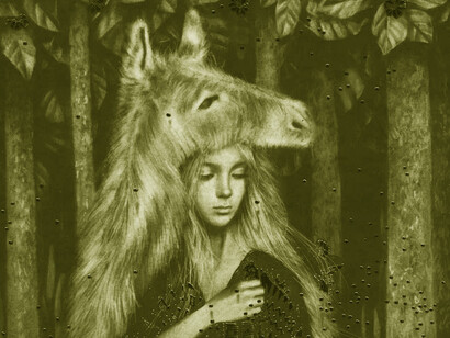 Pelle d'Asino, Illustrazione di Alessandra Maria 