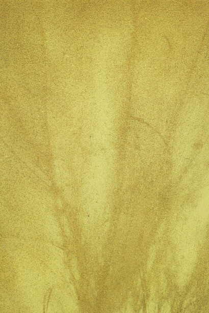 Erik Swars, Ohne titel (last forever) (2), 2024. Courtesy of Christine König Galerie