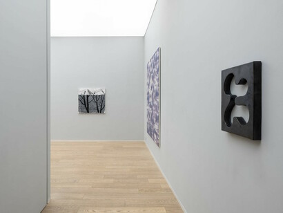 Grayscale, installation view. Courtesy of the artist/Simon Lee Gallery