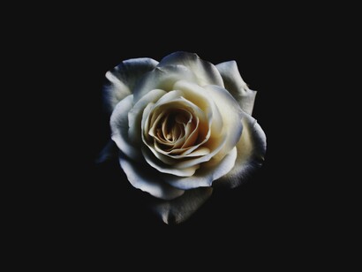 No hay rosas para tantas asesinadas