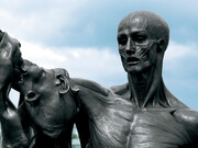 Saint Bartholomew, Exquisite Pain by Damien Hirst, 2006, Bronze, 99.2 x 42.5 x 29.5 in (2520 x 1080 x 750 mm), Photographed by Prudence Cuming Associates, © Damien Hirst and Science Ltd. All rights reserved, DACS 2014