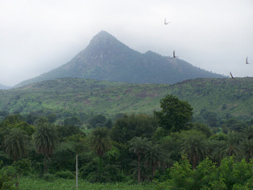Undulating hills surrounding Poshina. Ideal for soft treks