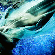 Hugh Arnold, Secreto Velado, 2013, Archival c-type metallic print, 40 x 60 in