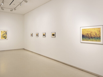 Anna Cabrera y Ángel Albarrán, Ventanas a lo insólito, vista de exhibición. Cortesía de la Galería Elvira González
