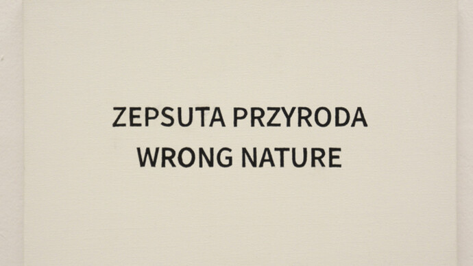 Play on Meanings. Courtesy of MOCAK 
