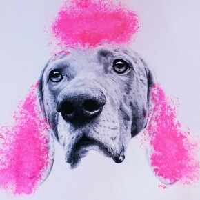 Robbins & Roberts, Pussypoodle