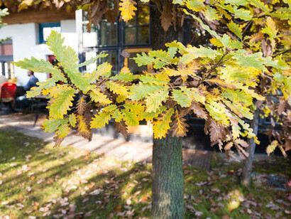 Ecological Commitment. Courtesy of Kunst Haus Wien 