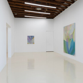 Tyler Vlahovich, The real story, exhibition view. Courtesy of Chris Sharp Gallery 