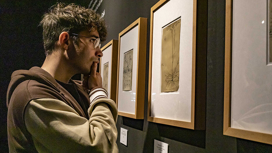 Cerebro(s), exhibition view. Courtesy of Casa de la Ciencia
