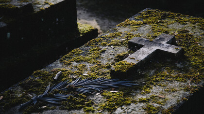 Nos trae a este mundo el dulce amor y nos saca de él un amargo hoyo abierto en la tierra