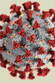 Center for Disease Control depiction of a virus