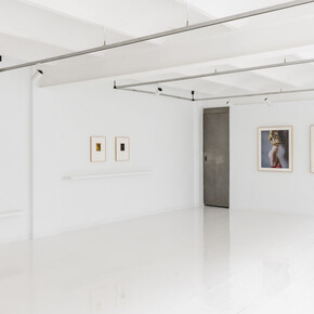 Xènia Fuentes, La piel y el oro (The skin and the gold), exhibition view. Courtesy of Alzueta Gallery