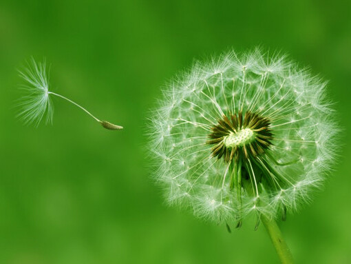 La tenerezza è fruscio di abbraccio