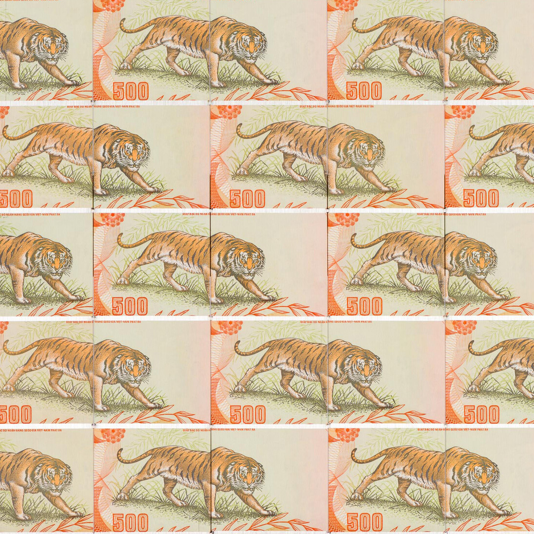 Santiago Montoya, Tiger, Tiger, 2015