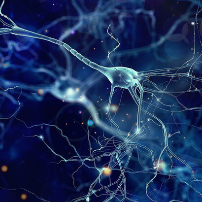 Epigenetics has demonstrated changes in actual genetic coding as a result of experience