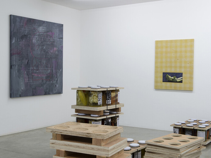Bill Hayden, Sam Pulitzer, Antek Walczak, Exhibition view "War Pickles II", Air de Paris, Paris, 2014, Photo Marc Domage, Courtesy Air de Paris, Paris