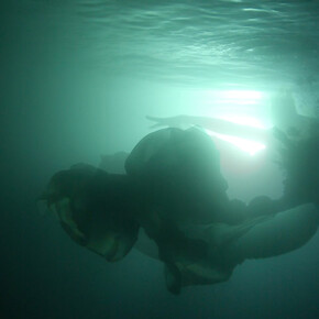 Ana Teresa Fernandez ,Drawn Below(still),2018,HD video,8:37min.