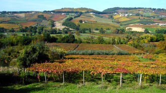 Il Cerasuolo d’Abruzzo è un rosato ottenuto prevalentemente da uve Montepulciano, vinificate con una breve macerazione sulle bucce che conferisce il caratteristico colore cerasuolo. Nella foto vigneti nella Val di Foro che si estende dalla Maiella fino all'Adriatico