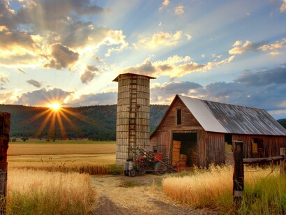 Ti manca la terra sotto i piedi. Ti manca la tua terra. La terra delle tue certezze, delle tue solidità, delle tue granitiche convinzioni. In quei momenti ti ritrovi spaesat