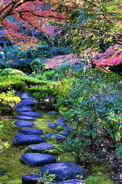 Garden scene from “Hikin-sai” teahouse © Alma Reyes