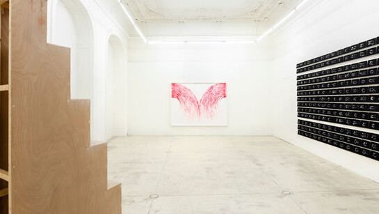 Upside Down Inside Out Back to Front. Courtesy of Galerie Krinzinger