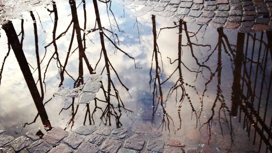 Illusion et réalité