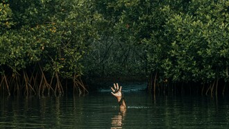 Una mano spunta da uno stagno. Nei gialli, punto focale della trama è l'omicidio, compiuto ogni volta nei modi più diversificati