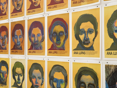 Ana Lupas, Armature, exhibition view. Courtesy of P420 