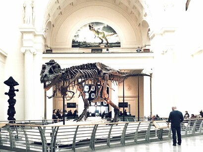 Museo Americano de Historia Natural, Nueva York