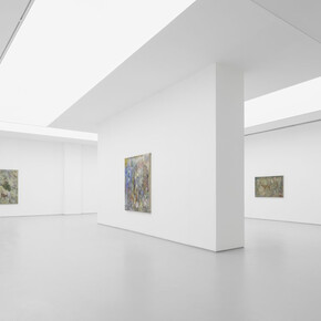 Ren Xiaolin, Genyue, exhibition view. Courtesy of Hive Center for Contemporary Art